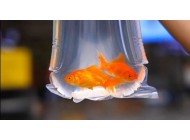 Round Bottom Curved Seal Watertight Poly Bags