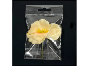 PP Header Bags with Euroslot + Resealable Flap (Clear Header)
