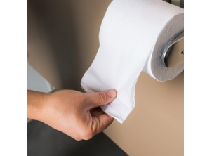 Pulp Based Standard Toilet Rolls (24 rolls / case)