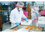 Safetywear / PPE Supplies