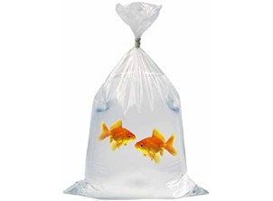 4x14" Medium-Duty 50mu Watertight Polythene Bag